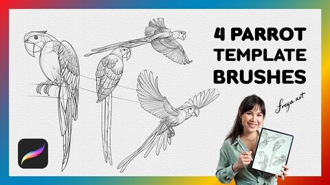 Procreate Parrot Stamp | 4 Template Procreate Brushes