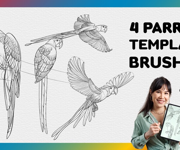 ArtStation - Procreate Parrot Stamp | 4 Template Procreate Brushes ...