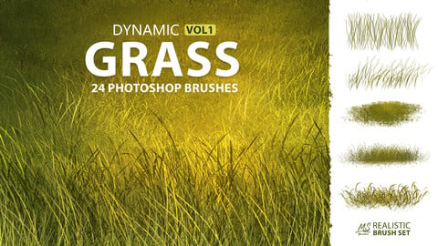 Grass Photoshop Brushes | MS Brushes