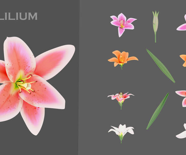 product thumbnail 7