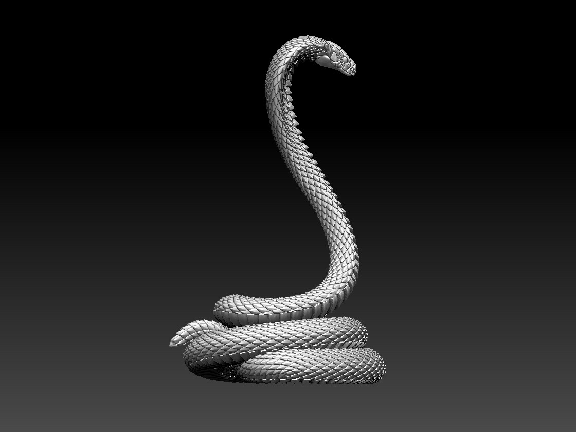 Cobra Snake | 3D Print Model