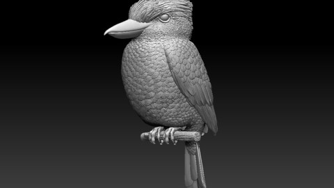 Blue Winged Kookaburra