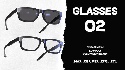 Glasses and Sunglasses 02