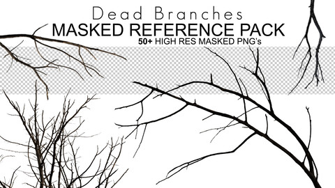 PNG/Masked Reference Pack - Dead Branches - 50+ Royalty Free Photos