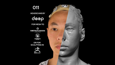 Asian Male 30s head scan 011