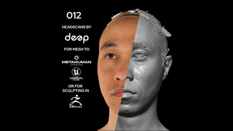 Asian Male 30s head scan 012
