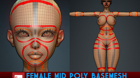 Female Mid Poly Base mesh