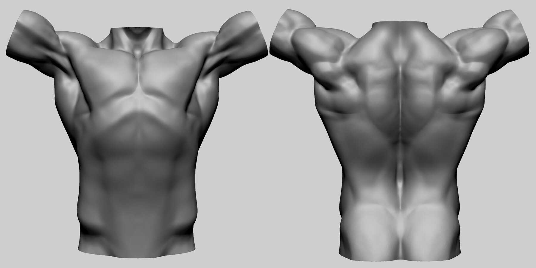 ArtStation - Male Torso Models For Reference | Resources