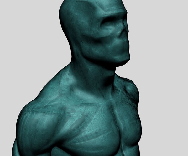 Artstation Male Torso Models For Reference Resources