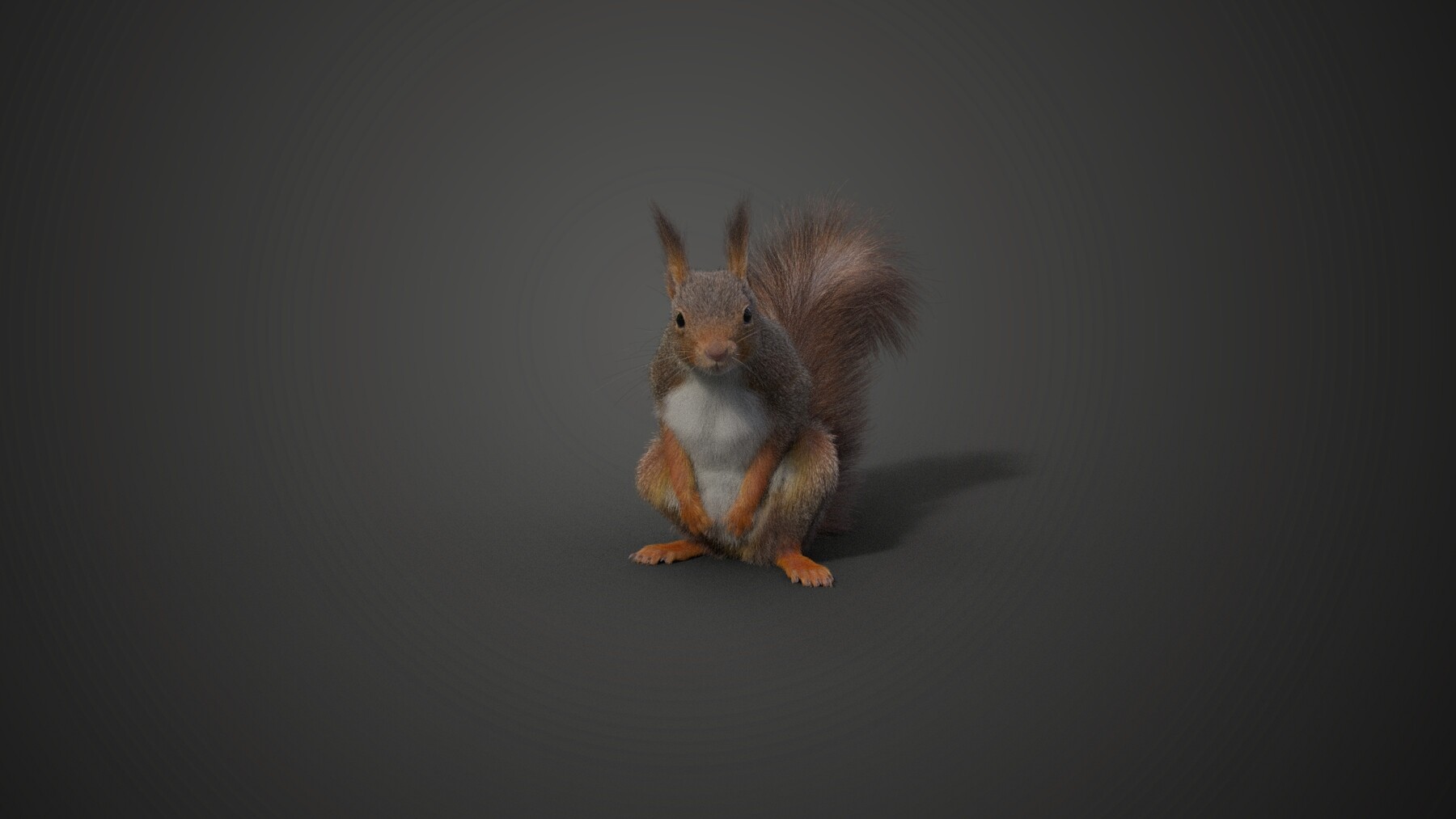 ArtStation - RedSquirrel Summer Animated | VFX Grace | Game Assets