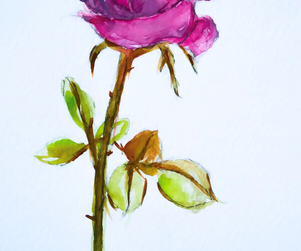 ArtStation - The Purple Rose | Artworks