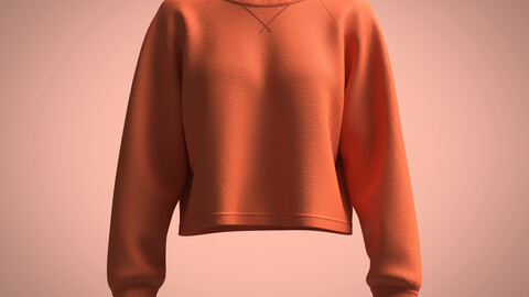 Girls-Reglan Sleeve Crop Sweatshirt