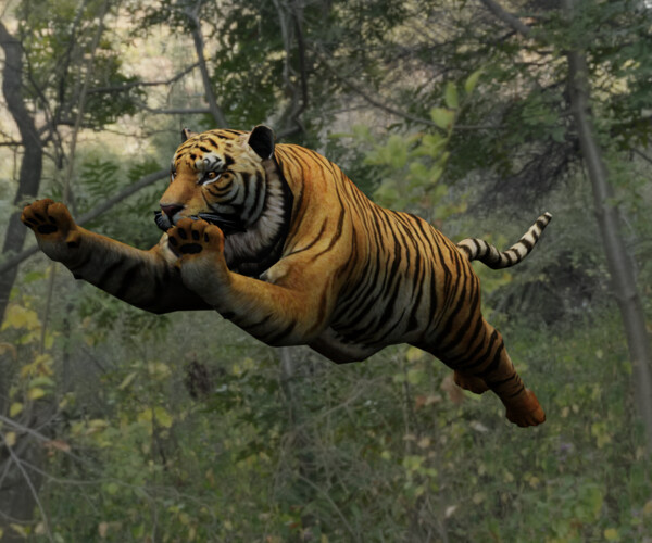 tiger white tiger bengal tiger wild life nature Low-poly 3D Model