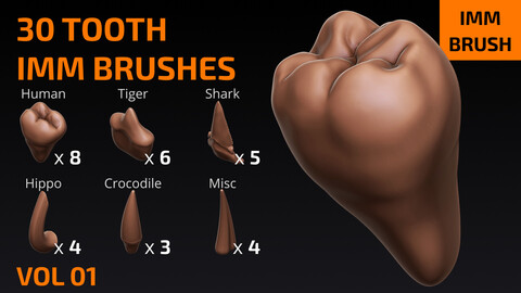 30 Tooth IMM Brushes for ZBrush + FBX - VOL 01