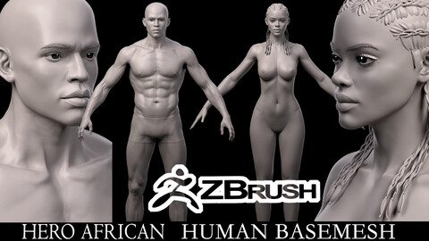 Super Hero basemesh Realistic character black American African man woman highpoly mesh zbrush male female torso head body foot hand highpoly basemesh young anatomy