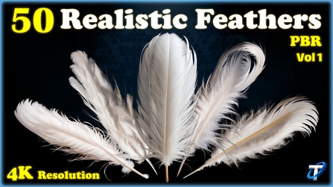50 Realistic Feather - PBR Textures (MEGA Bundle) - Vol 1