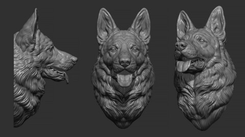 German shepherd dog head