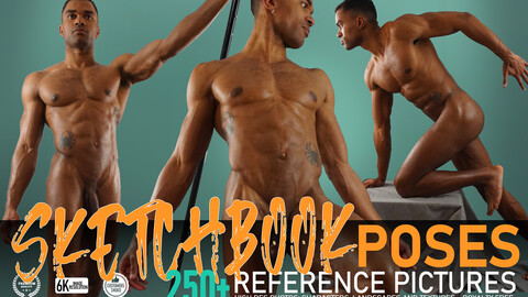 Sketchbook Poses 250+ Reference Pictures