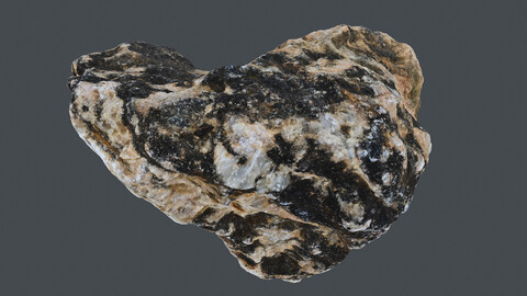 Rock_0179(Photogrametry.Photoscan.obj,Photo)