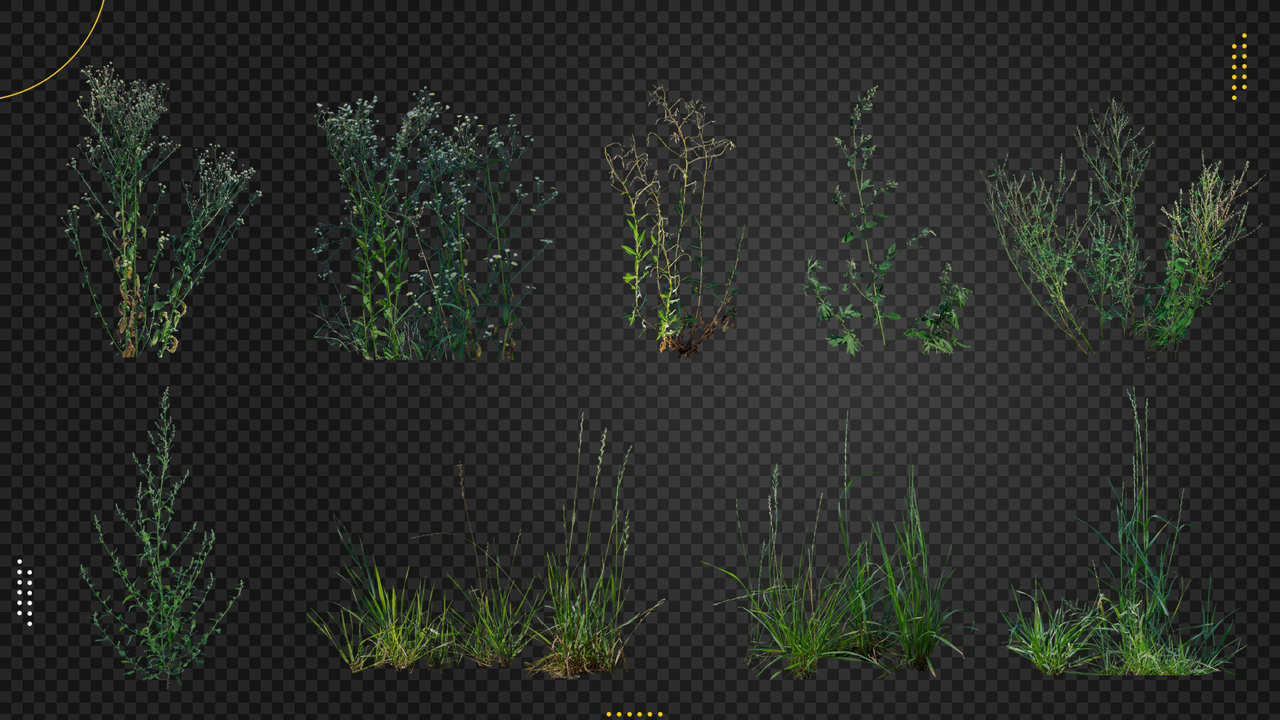 Artstation - 80 Grass, Weeds & Flower Pack 