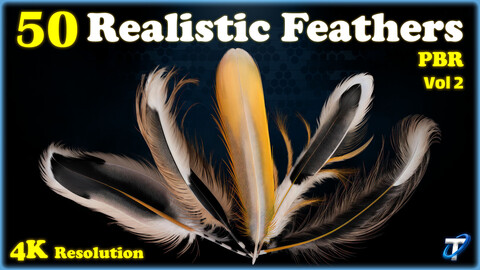 50 Realistic Feather - PBR Textures (MEGA Bundle) - Vol 2