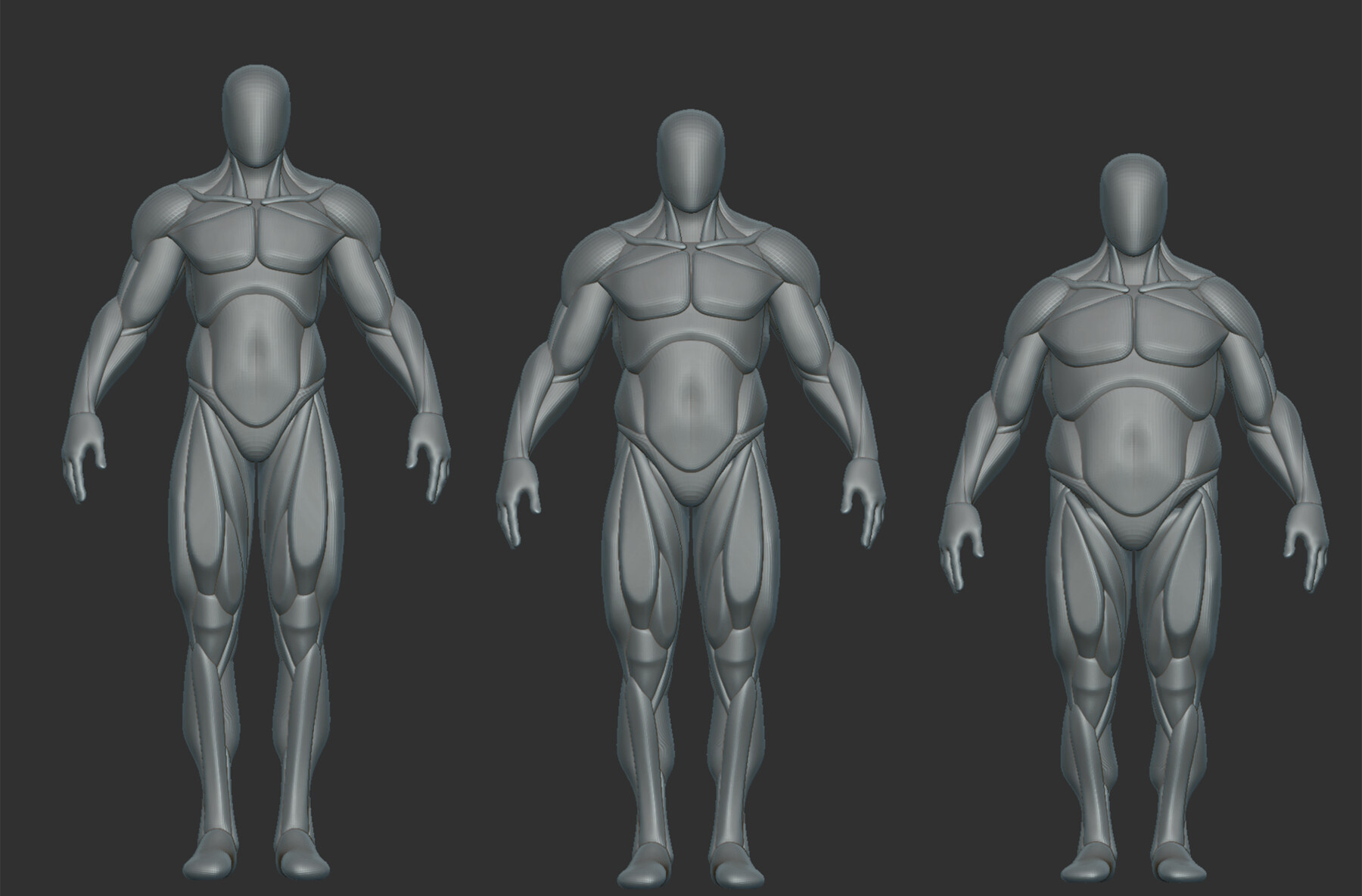 Body Type study by Dinloss on DeviantArt