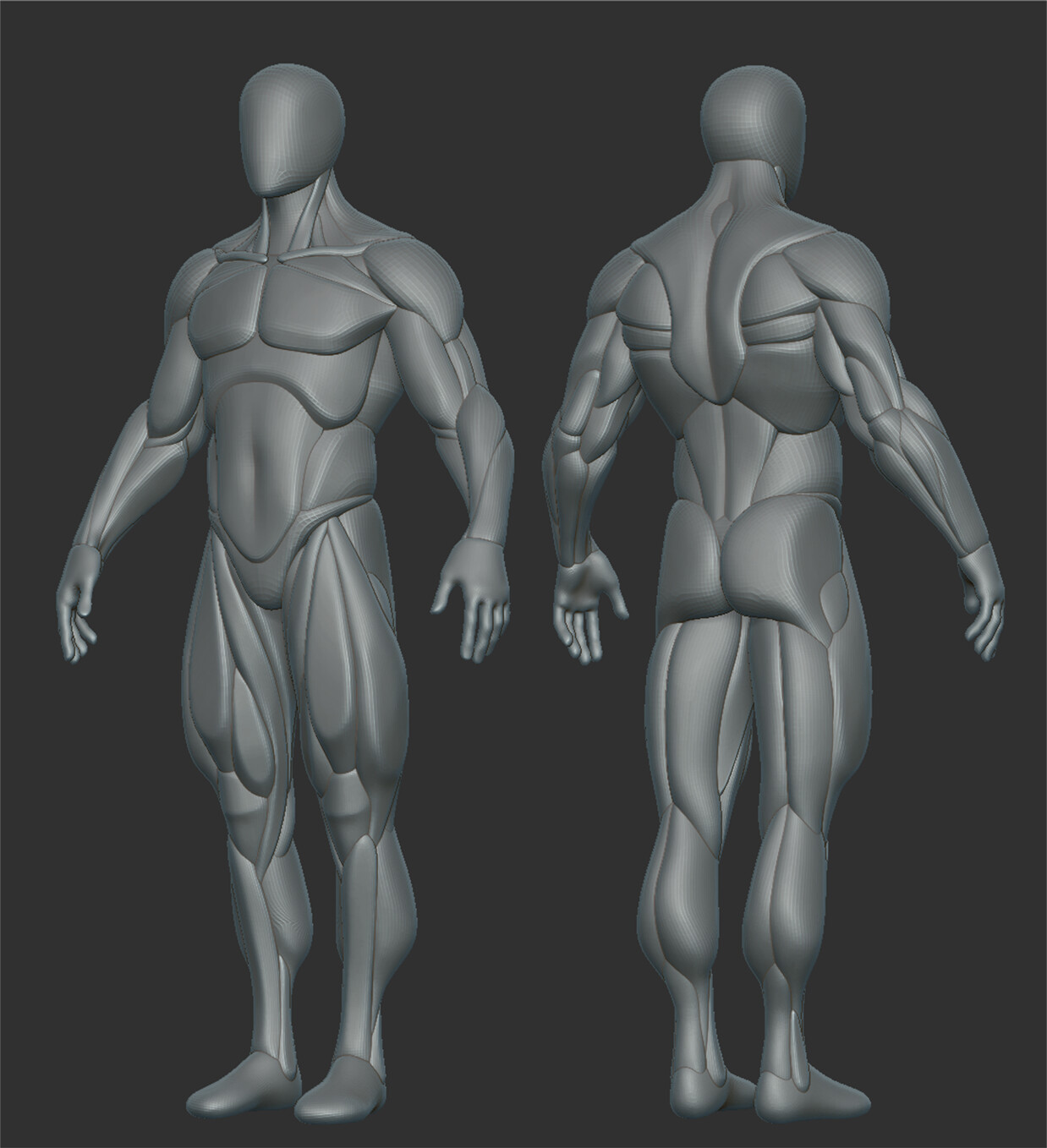 ArtStation - Male Somatotype Base Mesh | Resources