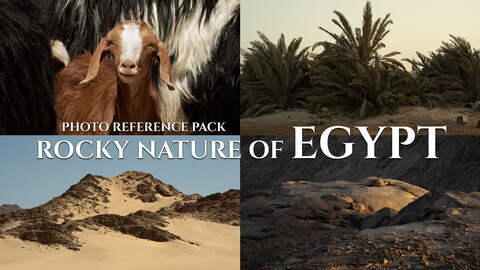 Rocky Nature Of Egypt- Photo Reference Pack For Artists 227 JPEGs noAI