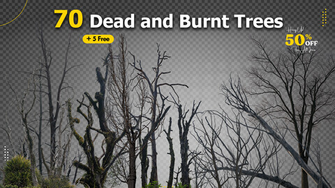 70 Dead and Burnt Trees