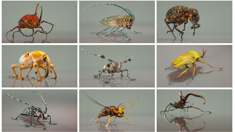 Discover the World of Beetles and Insects with 9 Photogrammetry-Scanned Specimens in 4K Texture and OBJ Format