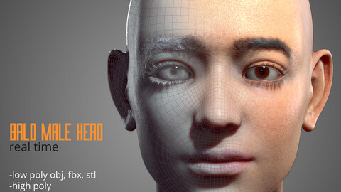 Real Time Bald Male Head 3D Model