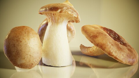 3D Scanned Mushroom Model with 4k Textures and Normal Map in OBJ Format