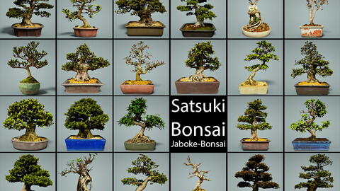 Bonsai Bonanza: 23 Satsuki Trees to Transform Your Projects!