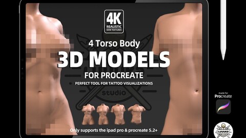 Procreate 3d Models (4K) Torso Body