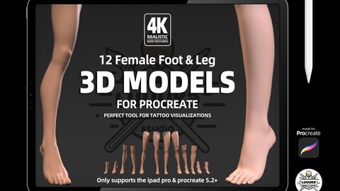 Procreate 3d Models (4K) Leg Female