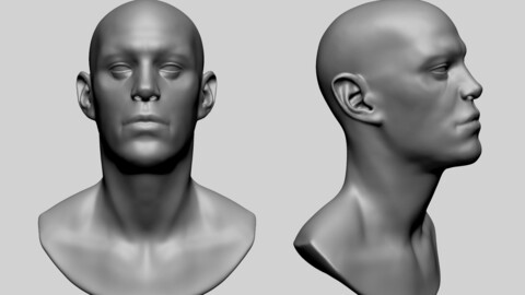 Male Head Basemesh D