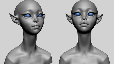 Stylized Elf Head C