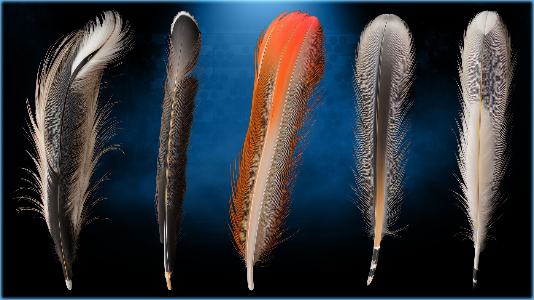 50 Realistic Feather - PBR Textures (MEGA Bundle) - Vol 5