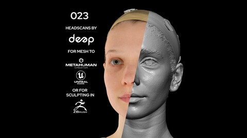 European Female 30s head scan 023