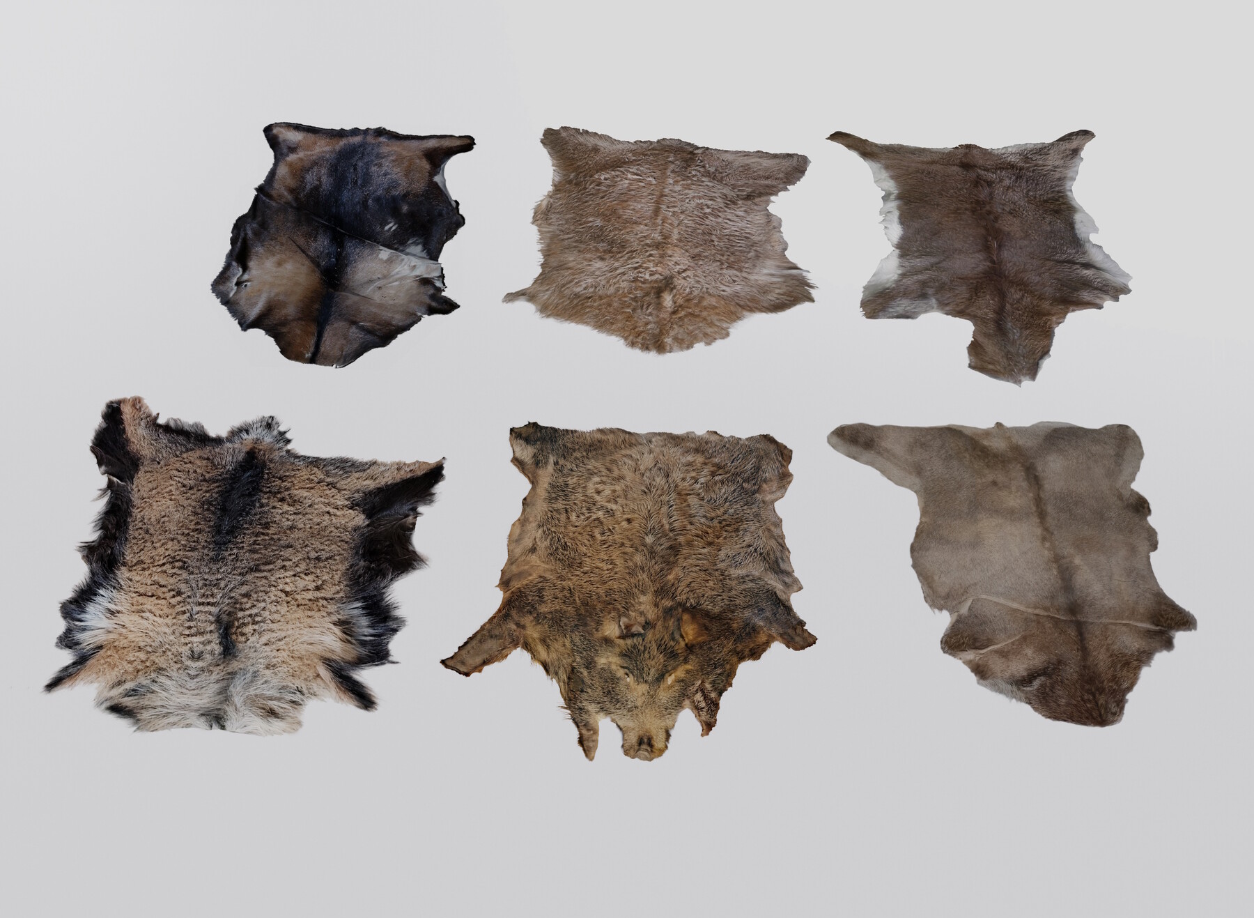 ArtStation - animal pelts | Game Assets