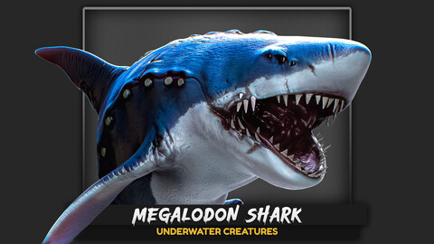 Megalodon Shark Model. Game-Ready LowPoly Animated Ocean Predator. Low poly fish - 7