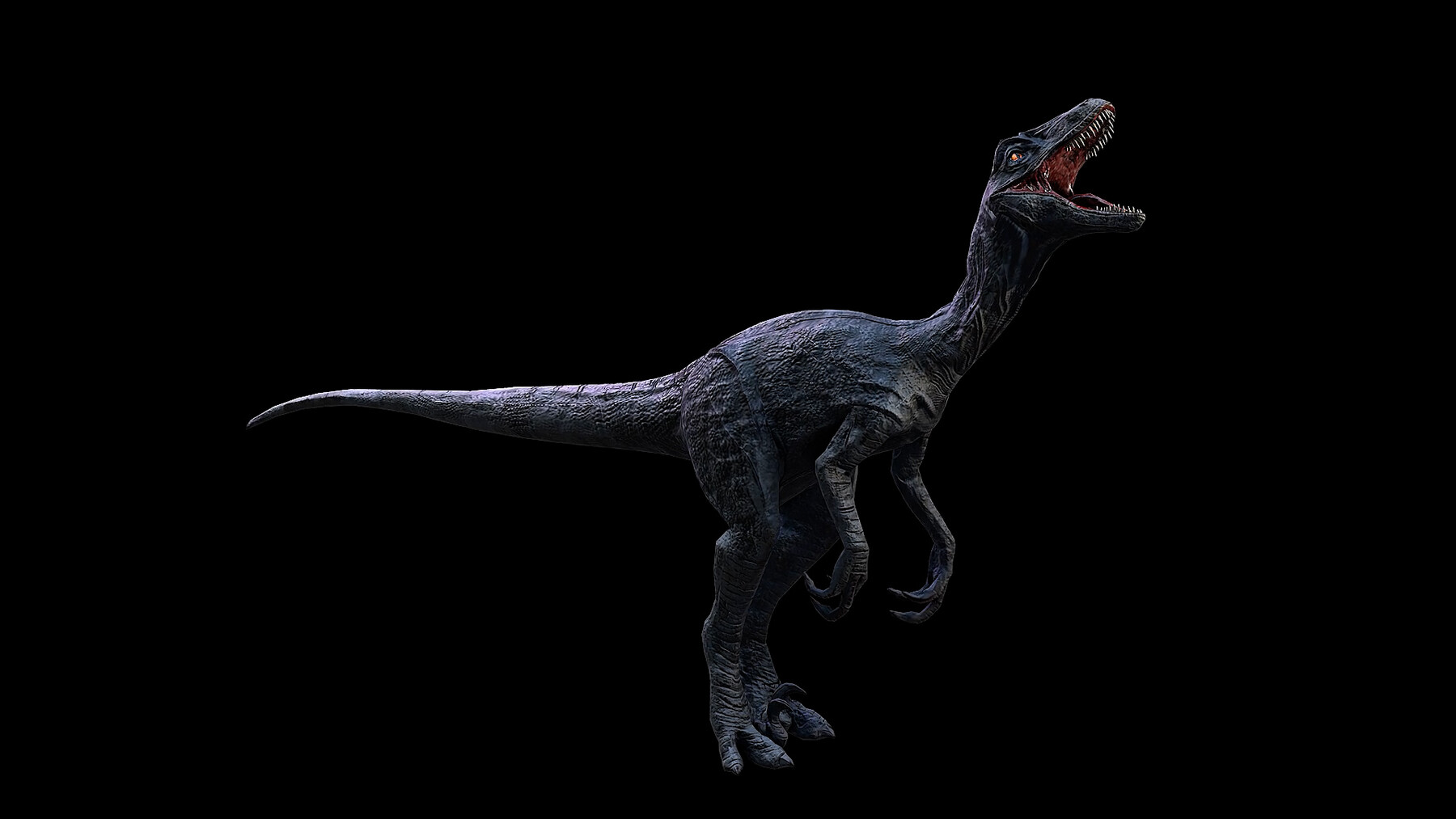 (4K) Velociraptor Running Across Screen Roar 1