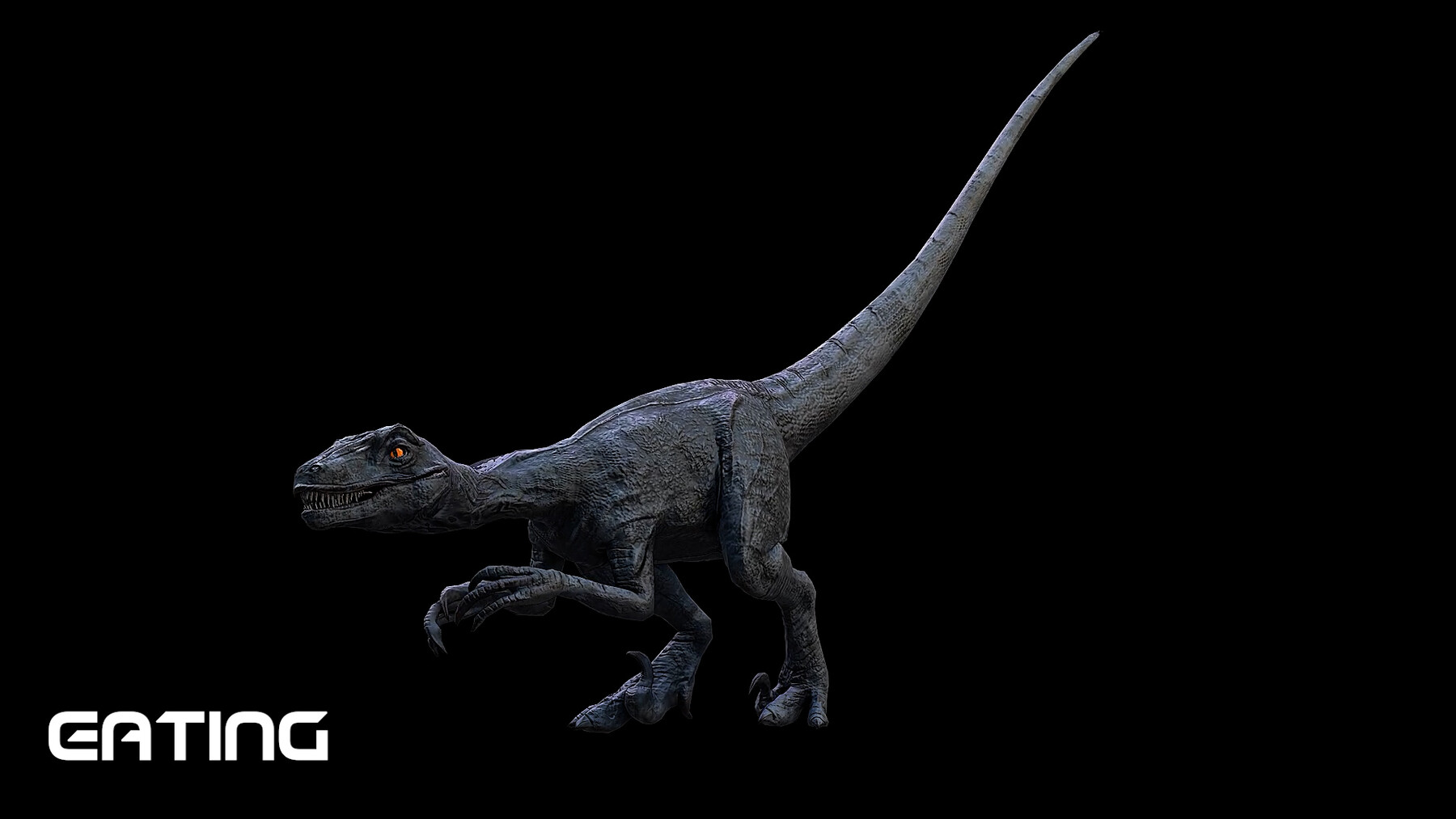 (4K) Velociraptor Running Across Screen Roar 1