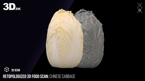 Retopologized 3D Food | Chinese Cabbage