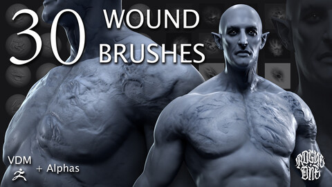 WOUND BRUSHES PACK | VDM + Alphas