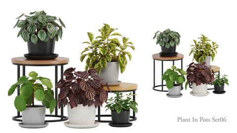plant In Pots_set 06