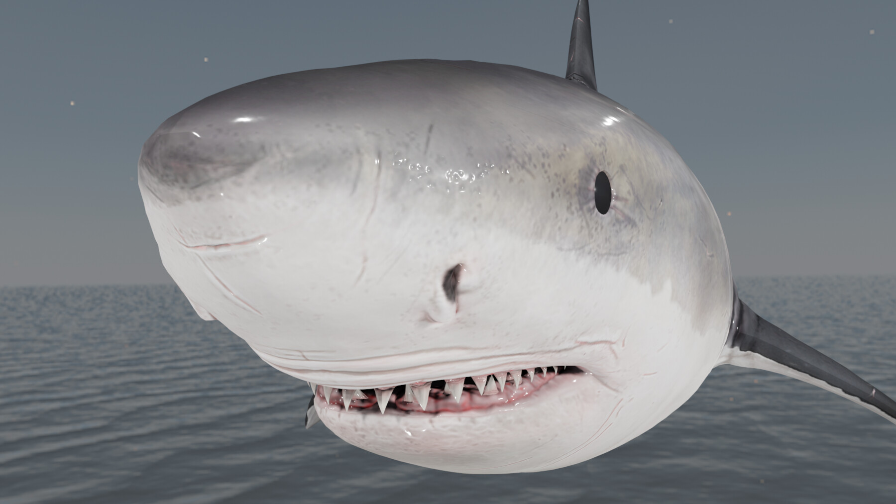 ArtStation - The Great White Shark - Animated and Rigged | Game Assets