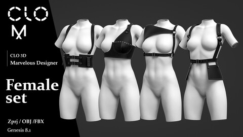 Female  set / Marvelous Designer/Clo3D project file + OBJ