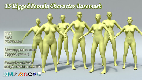 15 Rigged Female Character Basemesh