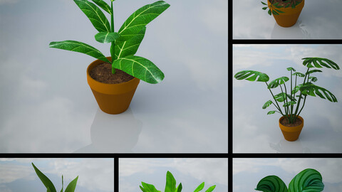 Indoor Plants Lowpoly Pack